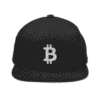Bitcoin Logo Snapback Hat