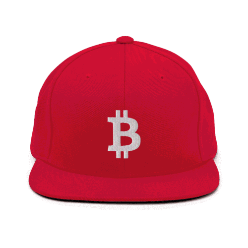 Bitcoin Logo Snapback Hat