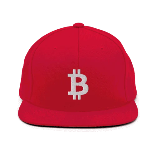 Bitcoin Logo Snapback Hat