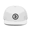 Bitcoin Circle Logo (BLK) Snapback Hat