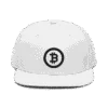 Bitcoin Circle Logo (BLK) Snapback Hat