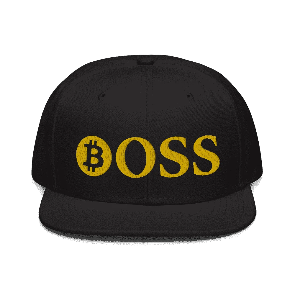 BOSS x Bitcoin Snapback Hat - Image 2