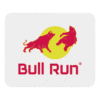 Bull Run Mouse Pad
