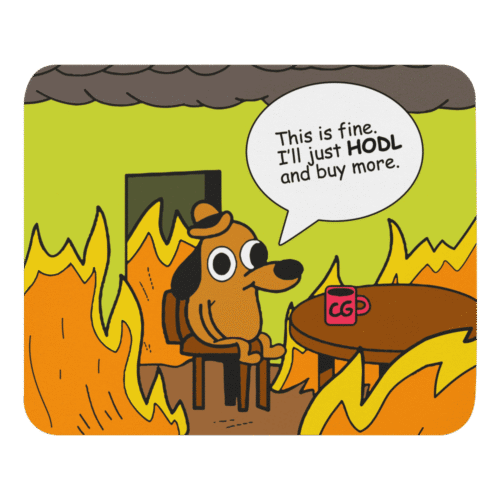 This is Fine. I'll Just HODL Mouse Pad