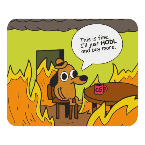 This is Fine. I'll Just HODL Mouse Pad