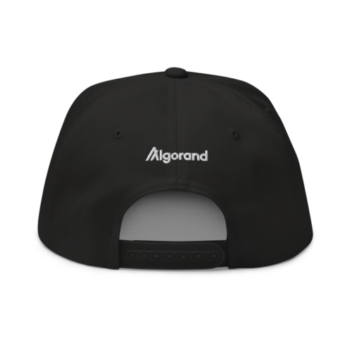 Algorand 3D Logo Flat Bill Cap