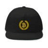 Bitcoin Laurel Leaves Logo Flat Bill Cap
