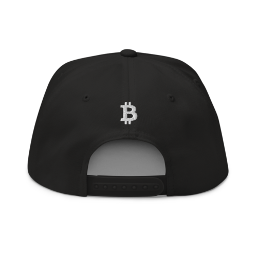 Bitcoin x Calligraphy Logo Snapback Hat