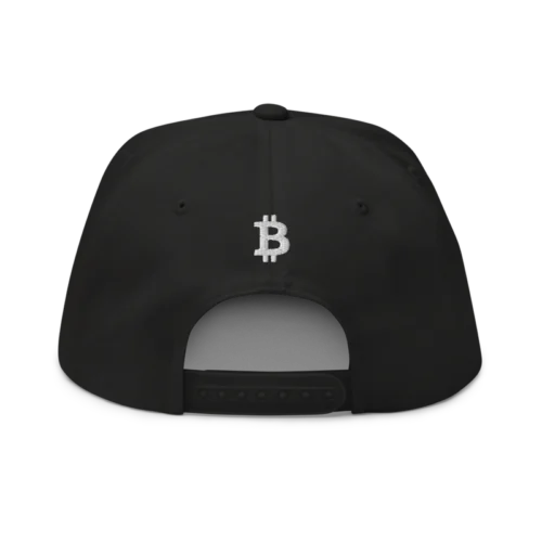 Bitcoin x Calligraphy Logo Snapback Hat