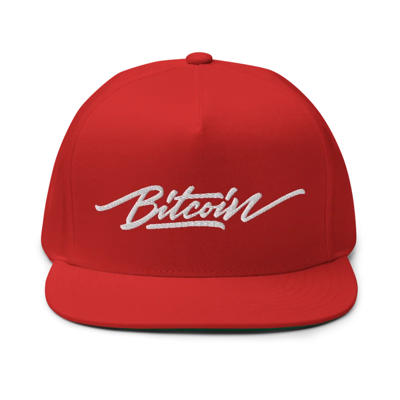 Bitcoin x Calligraphy Logo Snapback Hat - Image 5
