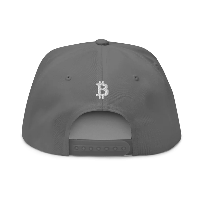 Bitcoin x Calligraphy Logo Snapback Hat - Image 8