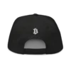 Bitcoin x Freedom Snapback Hat