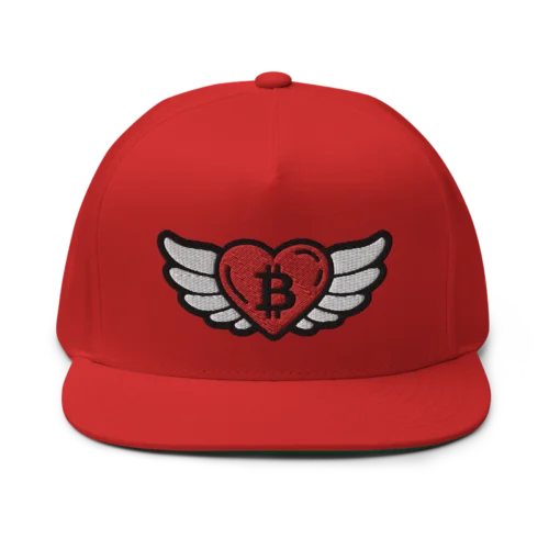 Bitcoin x Heart Angel Wings Snapback Hat