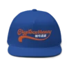 Cryptocurrency Vintage Snapback Hat