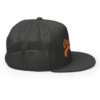Cryptocurrency Vintage Trucker Cap
