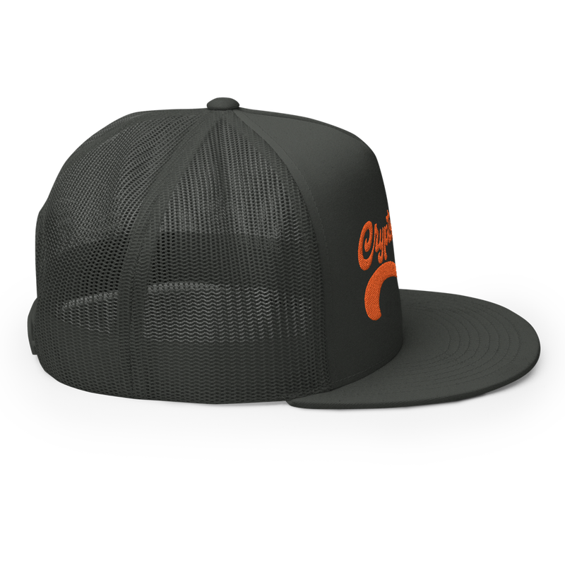 Cryptocurrency Vintage Trucker Cap