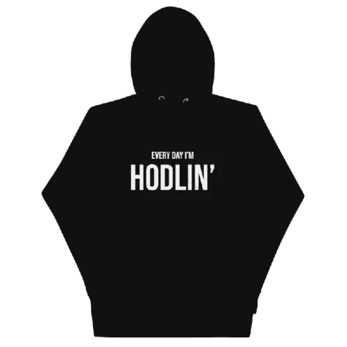 Every Day I’m Hodlin’ Hoodie