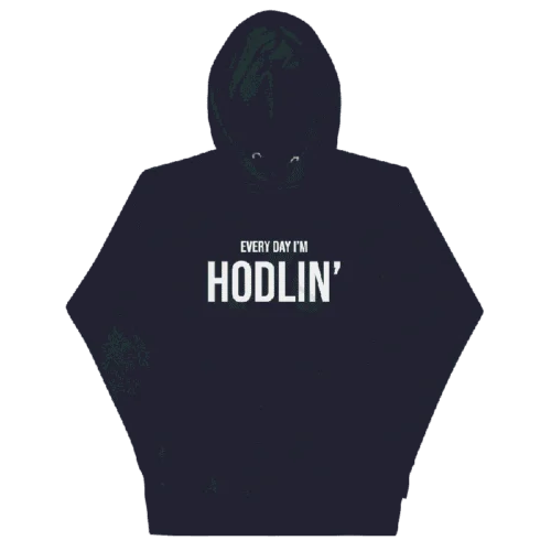 Every Day I’m Hodlin’ Hoodie