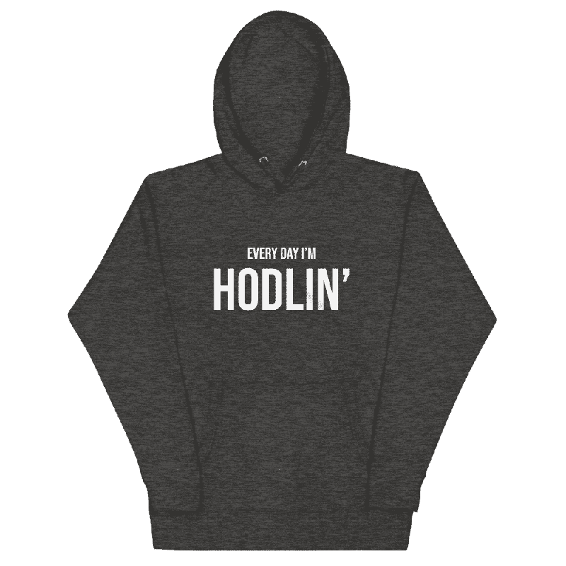 Every Day I'm Hodlin' Hoodie