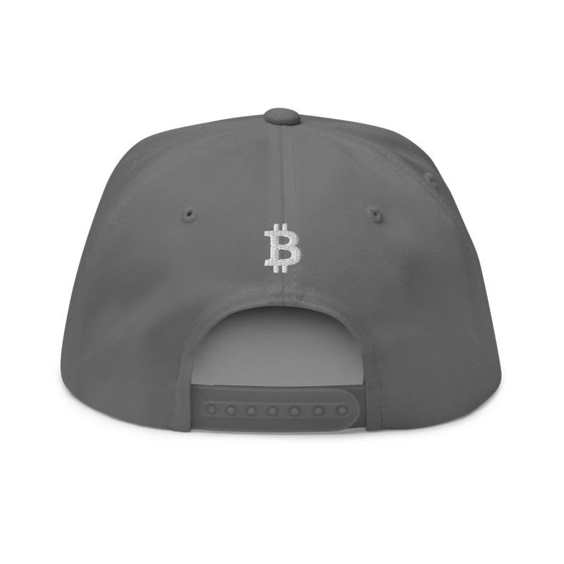 flat bill cap grey back 61f5d9a7aacfb - Bitcoin x Calligraphy Logo Snapback Hat