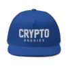 Crypto Goodies Flat Bill Cap