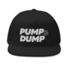 PUMP & DUMP Flat Bill Cap