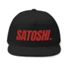 Satoshi Flat Bill Cap