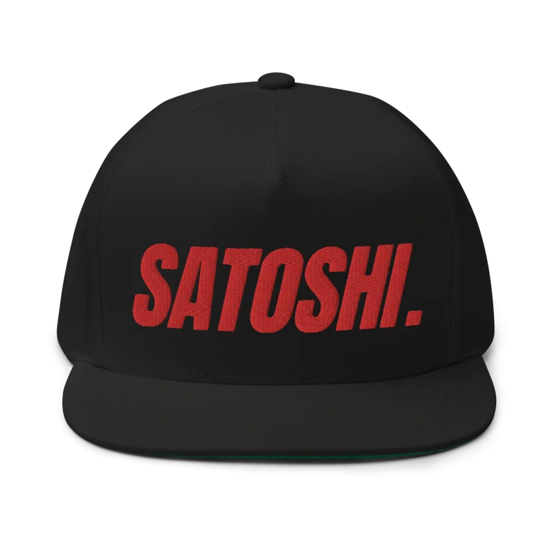 Satoshi Flat Bill Cap - Image 2
