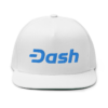 Dash Flat Bill Cap