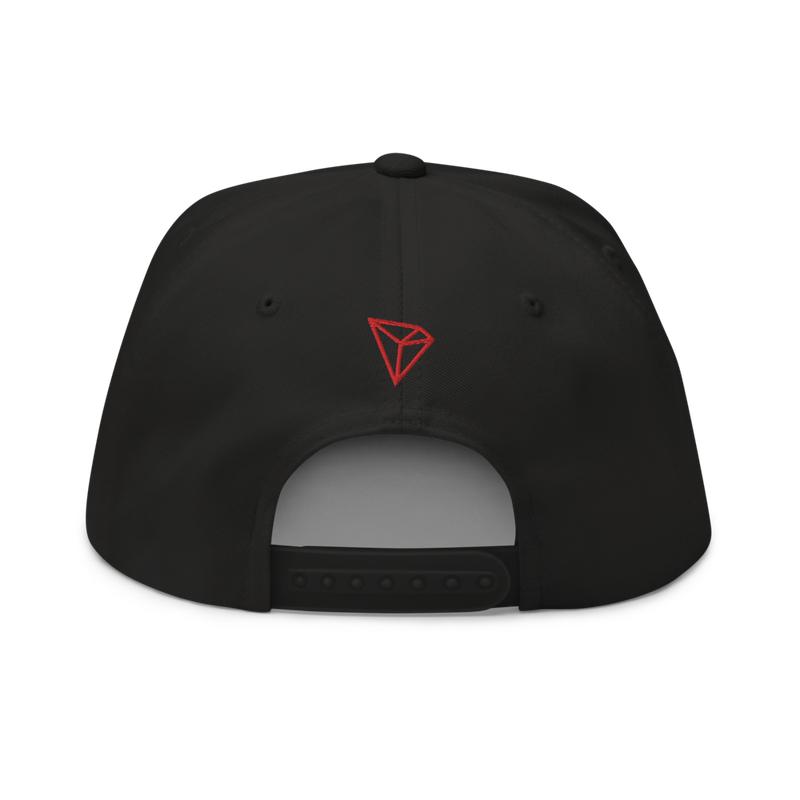 flat bill cap black back 622672733c7aa - TRON (TRX) CN-EN Logo Snapback Hat