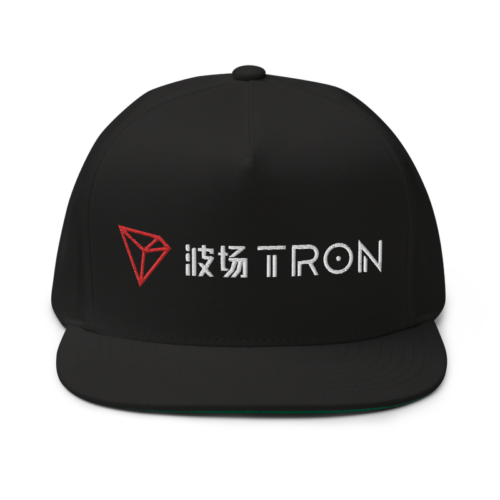 flat bill cap black front 622672733c67e - TRON (TRX) CN-EN Logo Snapback Hat
