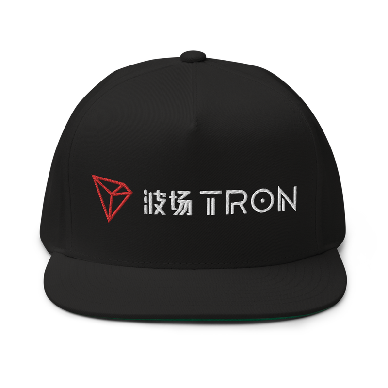 TRON (TRX) CN-EN Logo Snapback Hat