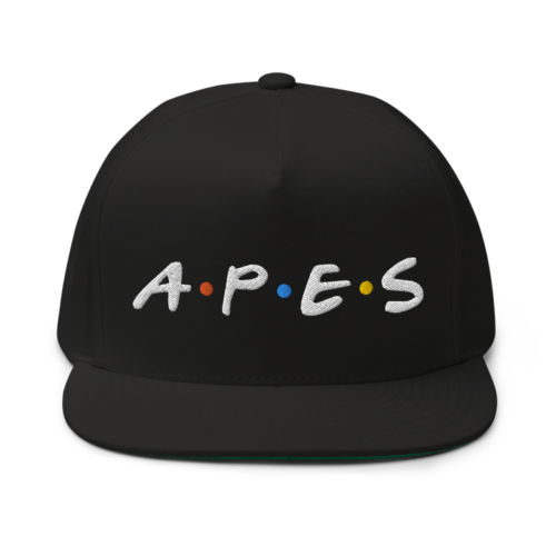flat bill cap black front 62438940ba887 - APES x BAYC Friends Snapback Hat