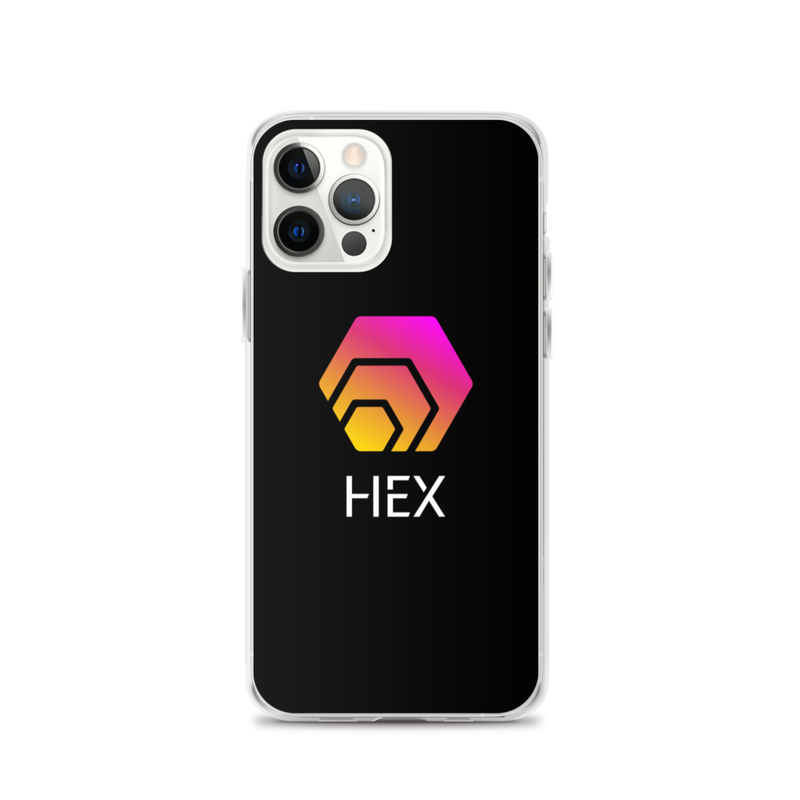 iphone case iphone 12 pro case on phone 6231fb0b18dce - HEX Logo iPhone Case