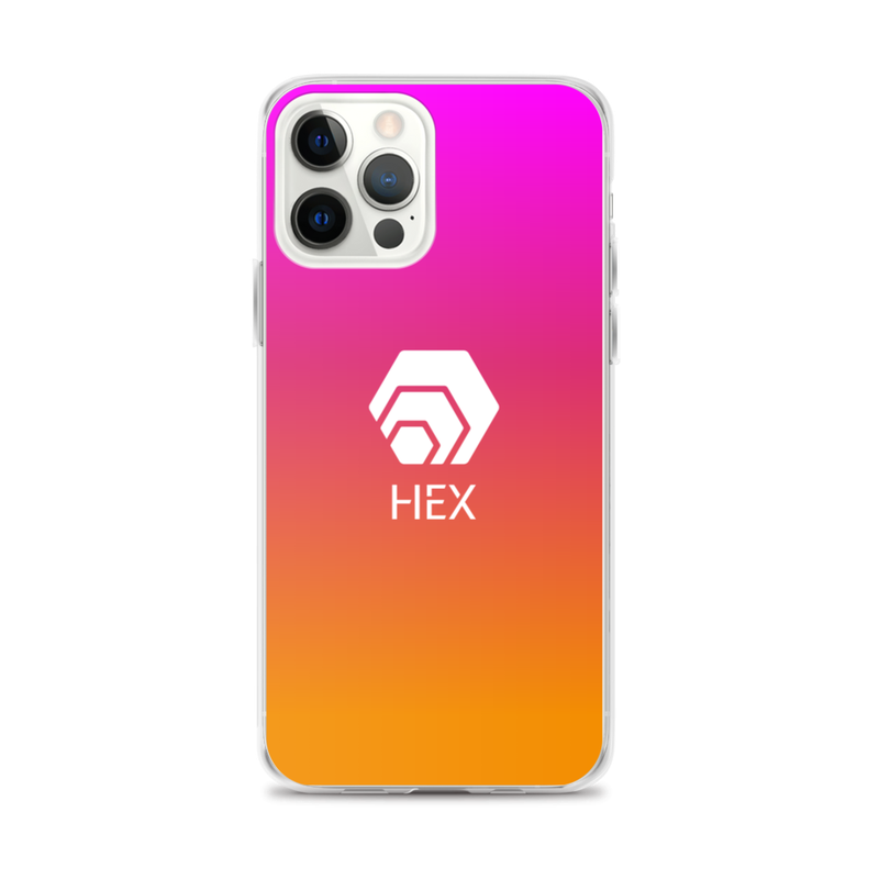 iphone case iphone 12 pro max case on phone 6231fcf78c929 - HEX Gradient iPhone Case