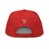 TRON (TRX) CN-EN Logo (RED) Snapback Hat