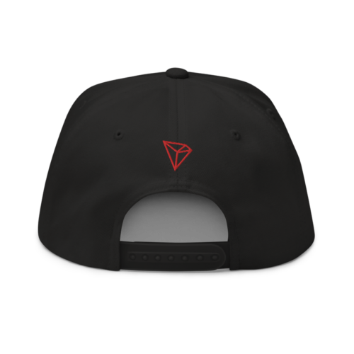 TRON (TRX) CN-EN Logo Snapback Hat