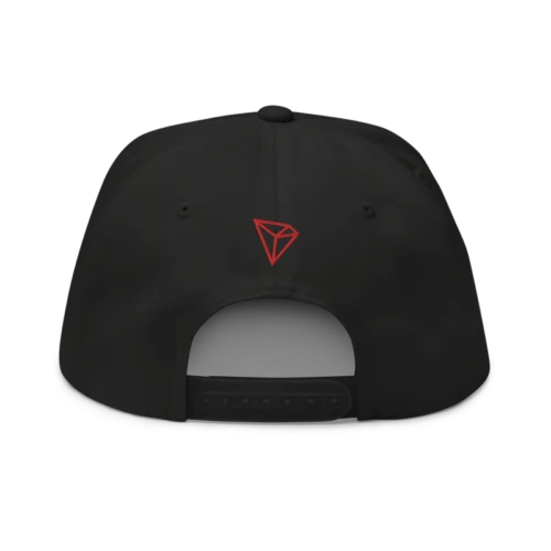 TRON (TRX) CN-EN Logo Snapback Hat