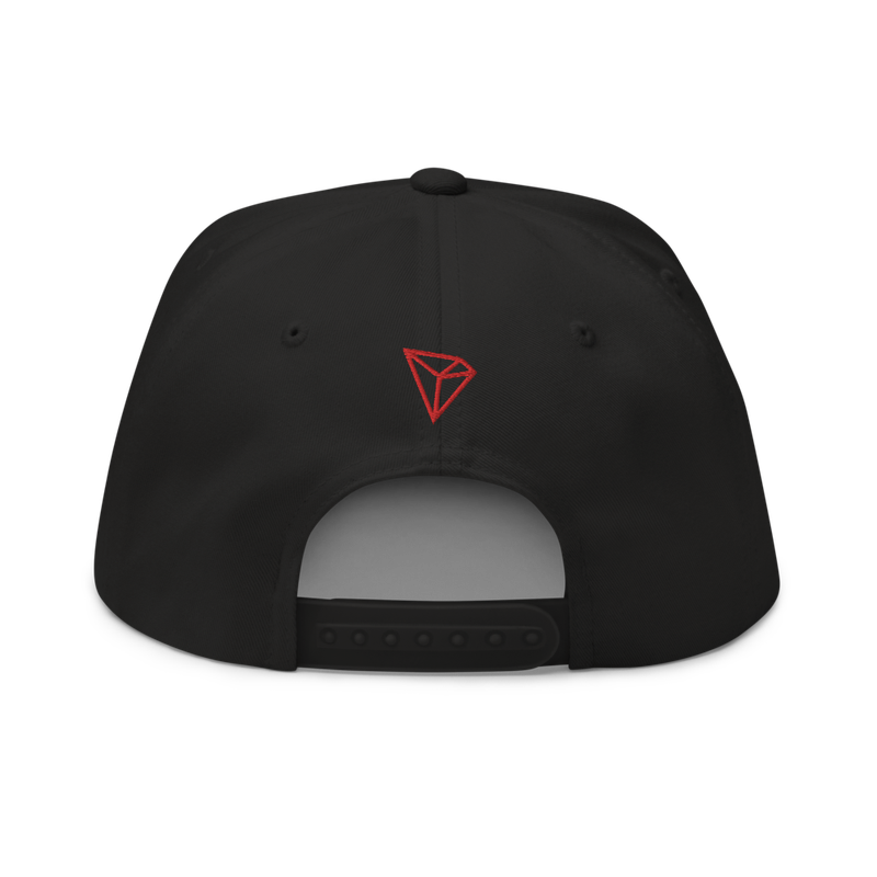 Tron (Trx) Cn-En Logo Snapback Hat
