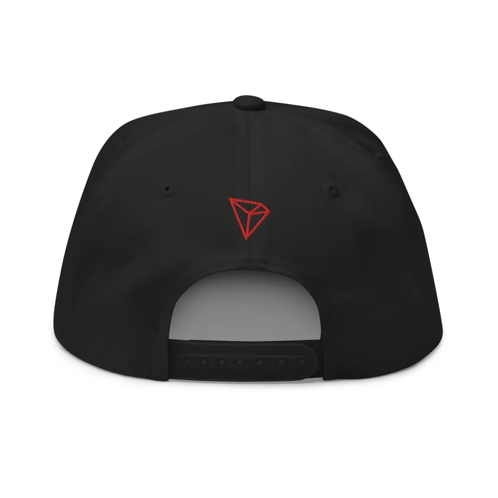 TRON (TRX) CN-EN Logo Snapback Hat