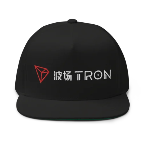 TRON (TRX) CN-EN Logo Snapback Hat