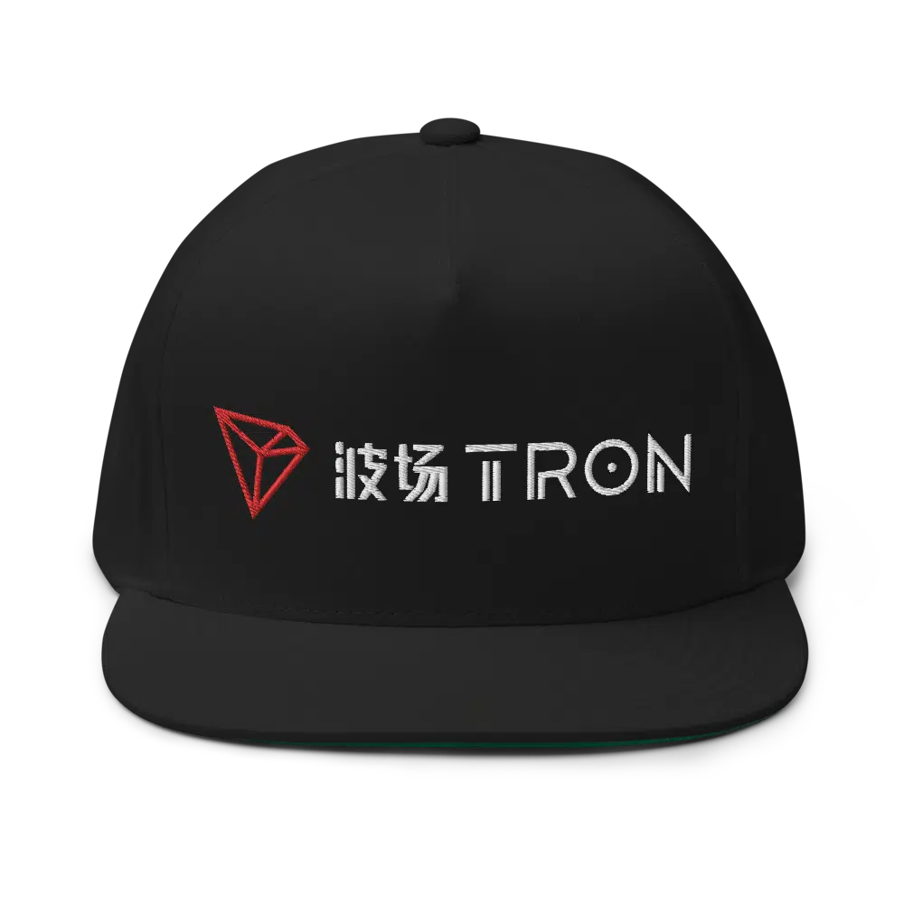 TRON (TRX) CN-EN Logo Snapback Hat