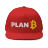 Bitcoin x Plan B Snapback Hat
