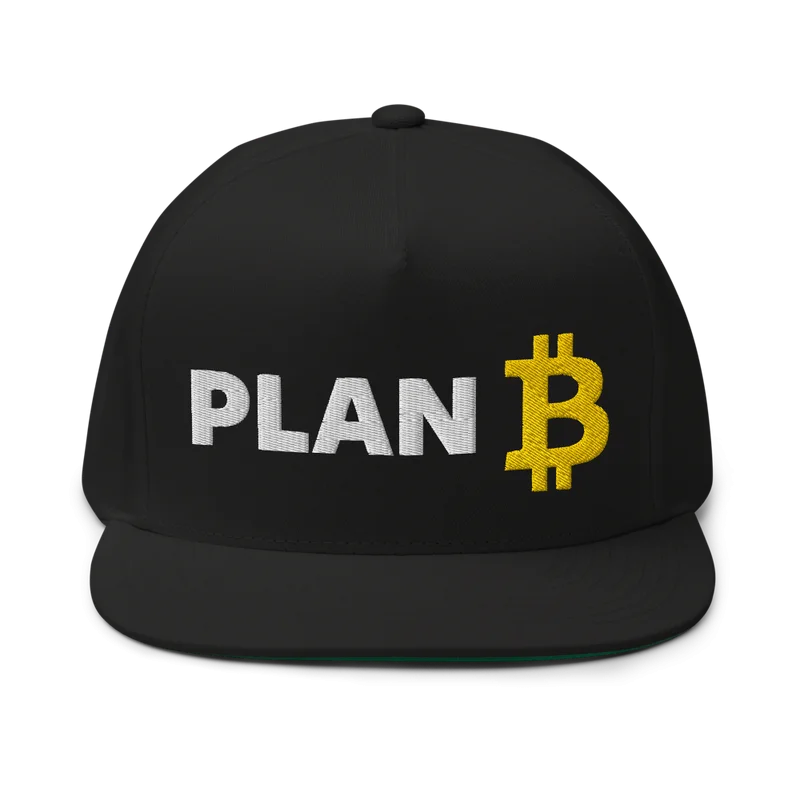 Bitcoin x Plan B Snapback Hat - Image 3