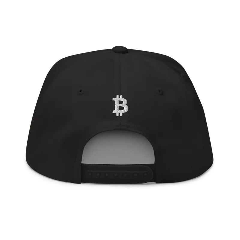 Bitcoin x Plan B Snapback Hat - Image 4