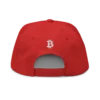 Bitcoin x Plan B Snapback Hat