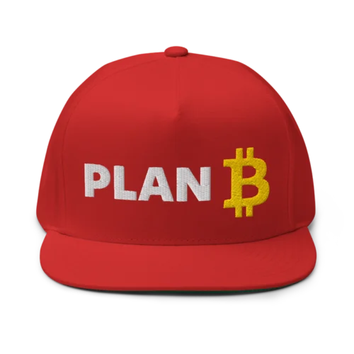 Bitcoin x Plan B Snapback Hat