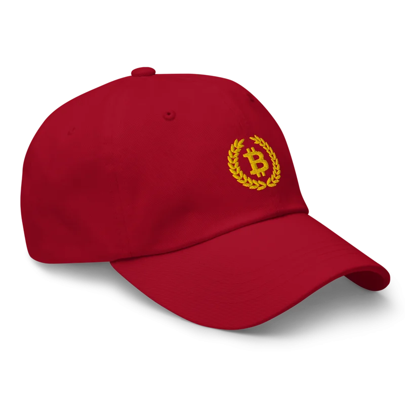 Bitcoin Laurel Leaves Logo Baseball Cap - Image 4