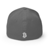 Bitcoin Flexfit Baseball Cap