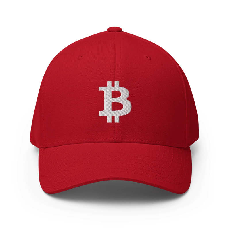 Bitcoin Flexfit Baseball Cap